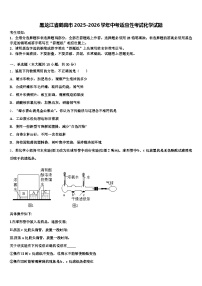 黑龙江省鹤岗市2025-2026学年中考适应性考试化学试题（含答案解析）