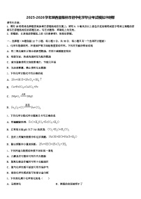 2025-2026学年陕西省榆林市初中化学毕业考试模拟冲刺卷（含答案解析）