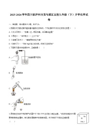 2025-2026学年四川省泸州市龙马潭区五校九年级（下）开学化学试卷-自定义类型
