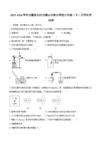 2025-2026学年安徽省安庆市潜山市部分学校九年级（下）开学化学试卷-自定义类型
