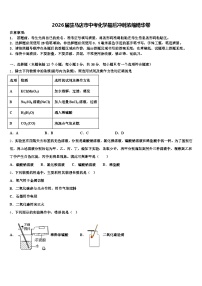 2026届驻马店市中考化学最后冲刺浓缩精华卷（含答案解析）