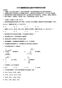 2026届西藏自治区山南市中考联考化学试卷（含答案解析）