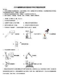 2026届西藏自治区阿里地区中考化学模拟预测试卷（含答案解析）