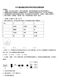 2026届云南省玉溪市中考化学适应性模拟试题（含答案解析）