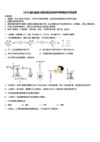 2026届云南省大理白族自治州中考押题化学预测卷（含答案解析）