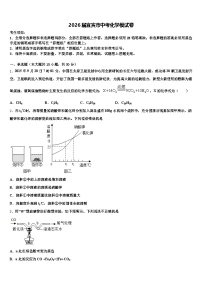 2026届宜宾市中考化学模试卷（含答案解析）