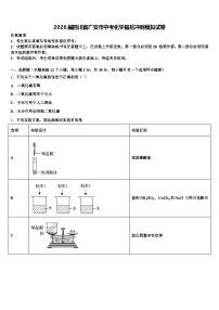 2026届四川省广安市中考化学最后冲刺模拟试卷（含答案解析）