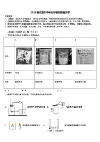 2026届沈阳市中考化学模拟精编试卷（含答案解析）