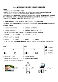 2026届西藏自治区林芝市中考化学最后冲刺模拟试卷（含答案解析）