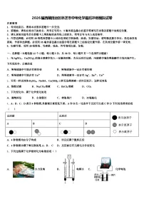 2026届西藏自治区林芝市中考化学最后冲刺模拟试卷（含答案解析）