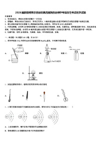 2026届新疆维吾尔自治区昌吉回族自治州中考适应性考试化学试题（含答案解析）