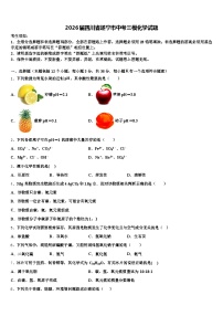 2026届四川省遂宁市中考三模化学试题（含答案解析）