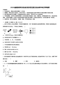 2026届新疆维吾尔自治区博尔塔拉蒙古自治州中考化学押题卷（含答案解析）