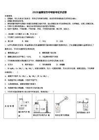 2026届泰安市中考联考化学试卷（含答案解析）
