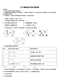 2026届昭通市中考化学模试卷（含答案解析）