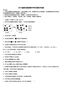 2026届四川省德阳市中考五模化学试题（含答案解析）