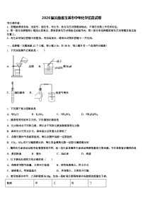 2026届云南省玉溪市中考化学仿真试卷（含答案解析）