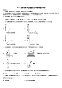 2026届新疆维吾尔自治区中考猜题化学试卷（含答案解析）