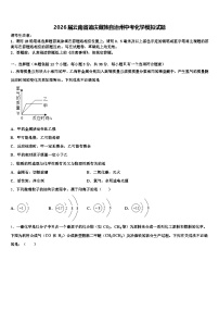 2026届云南省迪庆藏族自治州中考化学模拟试题（含答案解析）