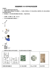 安徽省滁州市2026年中考化学仿真试卷（含答案解析）