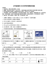 辽宁省沈阳市2026年中考冲刺卷化学试题（含答案解析）