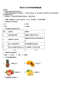 肇庆市2026年中考化学押题试卷（含答案解析）