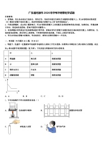 广东省河源市2026年中考冲刺卷化学试题（含答案解析）