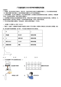 广东省河源市2026年中考冲刺卷化学试题（含答案解析）