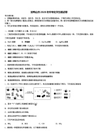 双鸭山市2026年中考化学五模试卷（含答案解析）