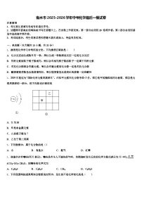 衡水市2025-2026学年中考化学最后一模试卷（含答案解析）