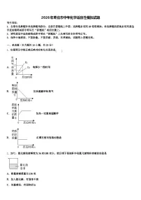 2026年枣庄市中考化学适应性模拟试题（含答案解析）