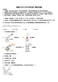 安顺市2025-2026学年中考二模化学试题（含答案解析）