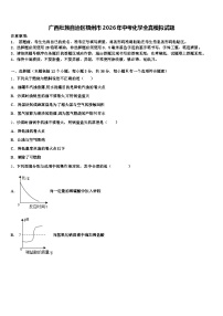 广西壮族自治区梧州市2026年中考化学全真模拟试题（含答案解析）