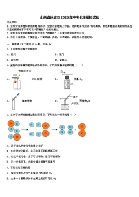 山西省运城市2026年中考化学模拟试题（含答案解析）