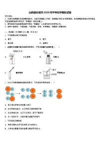 山西省运城市2026年中考化学模拟试题（含答案解析）