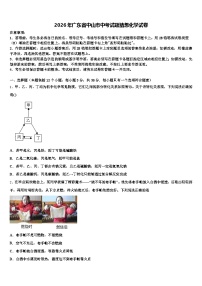 2026年广东省中山市中考试题猜想化学试卷（含答案解析）
