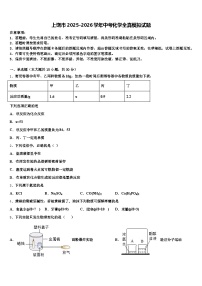 上饶市2025-2026学年中考化学全真模拟试题（含答案解析）