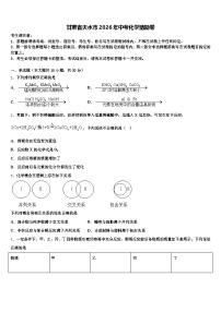 甘肃省天水市2026年中考化学猜题卷（含答案解析）