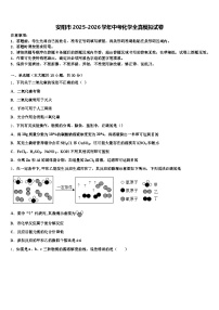安阳市2025-2026学年中考化学全真模拟试卷（含答案解析）