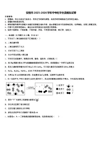 安阳市2025-2026学年中考化学全真模拟试卷（含答案解析）