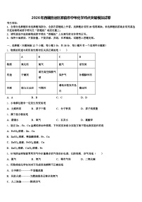 2026年西藏自治区那曲市中考化学对点突破模拟试卷（含答案解析）