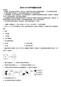 吉安市2026年中考猜题化学试卷（含答案解析）
