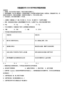 河南省新乡市2026年中考化学模拟预测题（含答案解析）