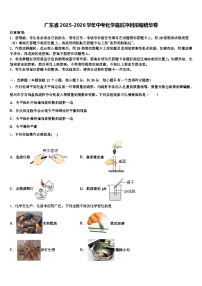 广东省2025-2026学年中考化学最后冲刺浓缩精华卷（含答案解析）