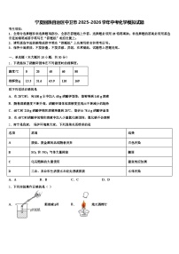 宁夏回族自治区中卫市2025-2026学年中考化学模拟试题（含答案解析）