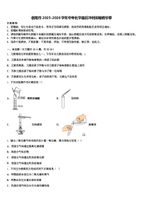 信阳市2025-2026学年中考化学最后冲刺浓缩精华卷（含答案解析）