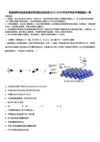 新疆维吾尔自治区博尔塔拉蒙古自治州2025-2026学年中考化学考前最后一卷（含答案解析）