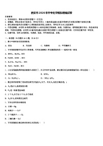 西安市2026年中考化学模拟精编试卷（含答案解析）