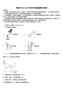阜阳市2025-2026学年中考试题猜想化学试卷（含答案解析）