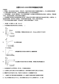 东营市2025-2026学年中考猜题化学试卷（含答案解析）